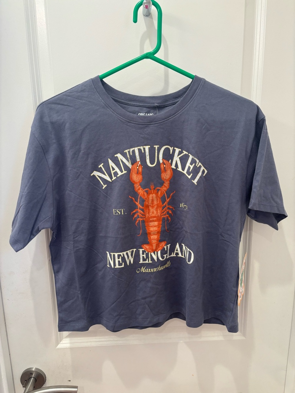 NWT Organic Collective Nantucket New England Lobster Graphic Tee - L